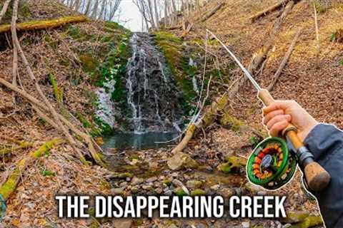 Fly Fishing in the Winter for Trout!! (This Creek was WILD)