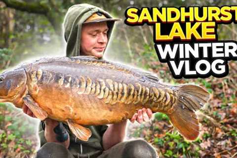 Carp Fishing Winter Vlog at Sandhurst Lake! Yately UK