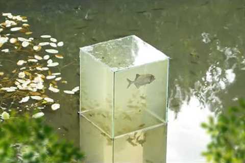DIY Fish Tower With Simple Tool | Backyard Project