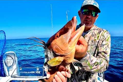 The Hardest Fish to Catch on Rod and Reel (Catch Clean &amp; Cook)