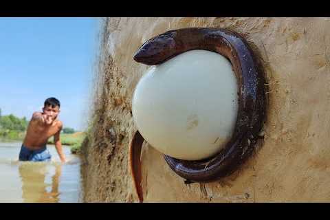 Top 10 Video Of Fishing Underground Big Stuck Fish Catching River Dry Sand Hole By Hand