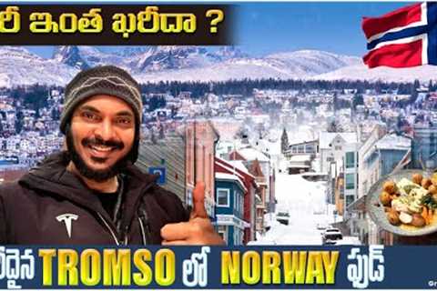 Northern lights in Tromso | How expensive is Norway | Snow filled Arctic | Ravi Telugu Traveller