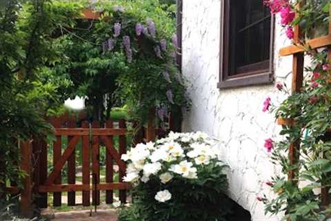 Designing Our Enchanted Narrow Side-Yard Garden: From Planning to Maturity