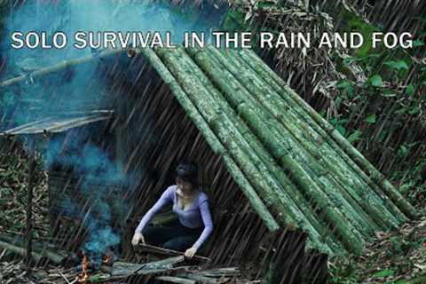 Surprise after 200 days come back to visit the old shelter in the forest - find wild bamboo shoots
