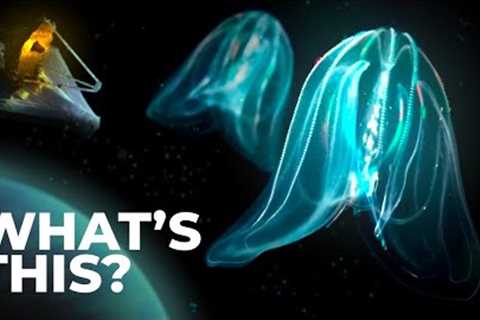 NASA Stumbled Upon Evidence For Life With James Webb Telescope