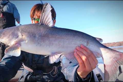 Giant Fish Swim In This Lake!