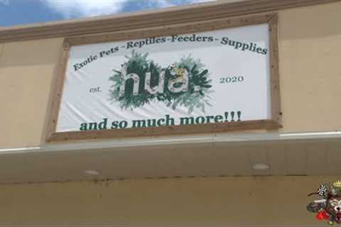 Complete Tour of HOUSTON UNDERGROUND ANIMALS - Exotic Pets, Reptiles - Feeders and Supplies!!!