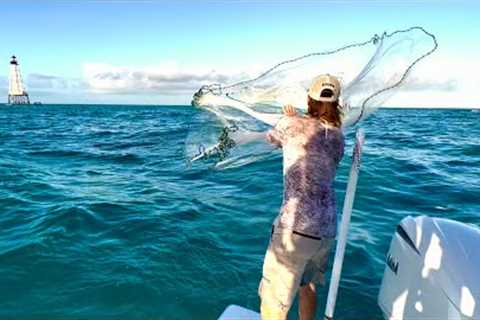 Rougher than expected on the BAY BOAT! Tuna plus Big Snappers! Catch Clean Cook