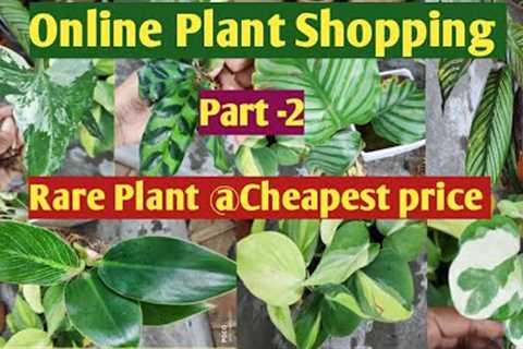 Online Indoor Plant Shopping || Unboxing Online Plants in Cheapest Price (Part-2)