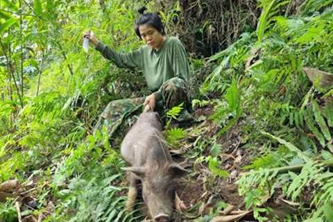Survival, skills, detect traces of wild boar, set traps to catch wild boar, survival instinctively