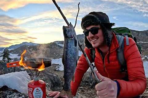MOUNTAIN TROUT Fishing in REMOTE Wilderness!! (Catch &amp; Cook)