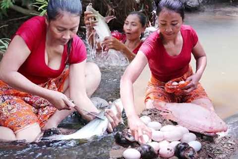 Adventure solo: Best survival video, Catch and cook - Cooking Fish, Egg &amp; Snails - Survival..