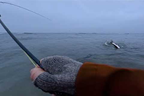 Fly Fishing in Water Close to Freezing. How Can It Be This Good?
