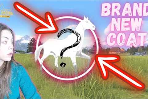 I MADE A DREAM STALLION ON RIVAL STARS HORSE RACING! / BREEDING / RACING + MORE