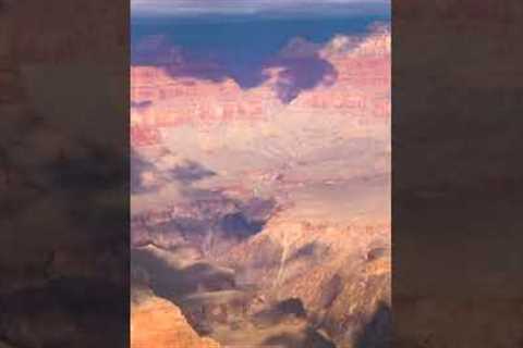 Experts Made A Worrying Discovery At The Grand Canyon After Finding This #shorts
