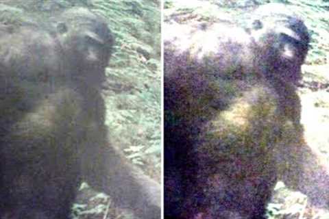 This Ranch Owner Receives A Message From His Trail Camera Telling Him That Something is Watching Him