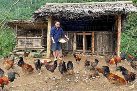 Chicken Coops Made From bamboo Pallets | Build shelter for chicken. Primitive Skills