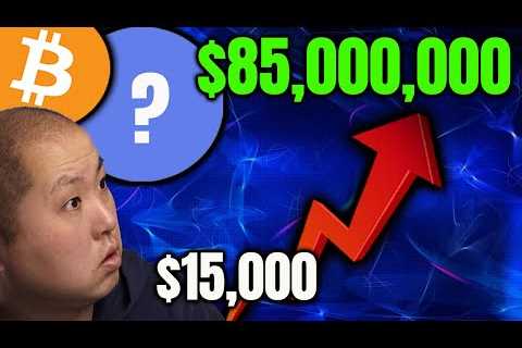 $15,000 to $85,000,000 By Holding This Crypto