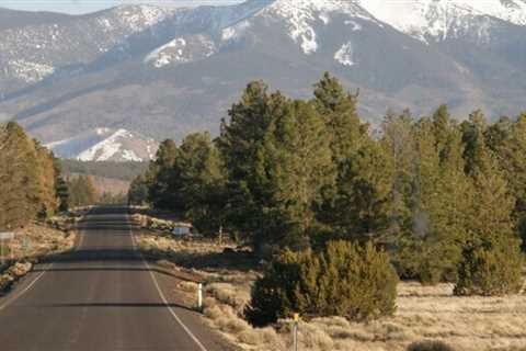 The Top 8 Best Things to do in Arizona in Spring to Enjoy a Sunny Fling