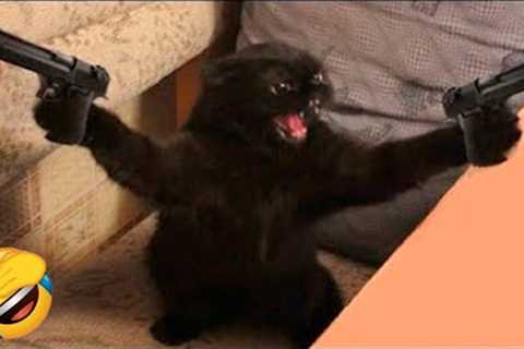 Best Funny Animal Videos Of The 2022 🤣 - Funniest Cats And Dogs Videos 😺😍