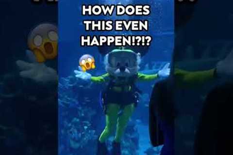 Mickey Can Scuba Dive?!?! 🤿