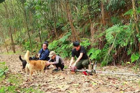 Clearing land to build a new farm with his wife and children : Building life 2023
