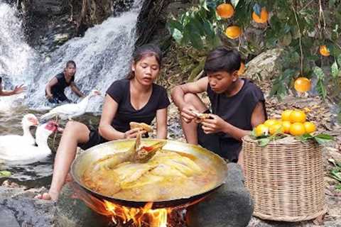 Adventure in forest: Cooking duck in wild for dinner, Wild oranges for snack - Survival cooking