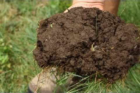 2 Key Lawn Care Tips | Lawn &amp; Garden Care