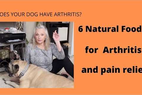 6 natural anti- inflammatory foods for Arthritis and joint pain (your dog will love you)