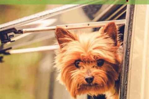 DIY Hack – Stop Dogs From Barking While You’re Driving The RV
