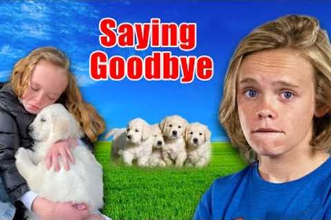 Can my Daughter CONVINCE DAD to Keep a PUPPY? **EMOTIONAL**
