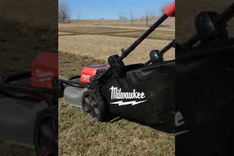 An Early Mowing Teaser...