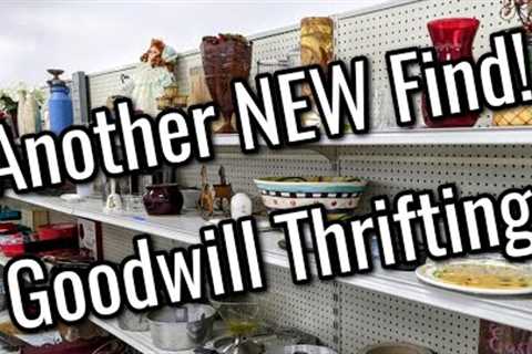 Quick Trip to Goodwill + Another New Find! | Thrift shopping with Me |Thrifting in 2023