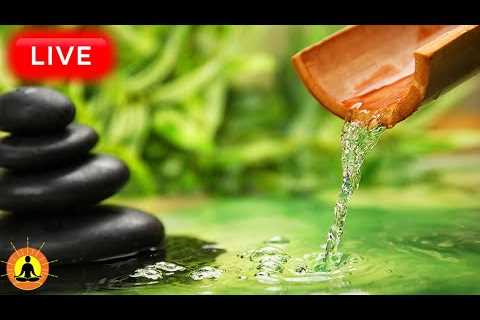 🔴 Relaxing Zen Music 24/7, Stress Relief Music, Sleep Music, Meditation Music, Study, Flowing..