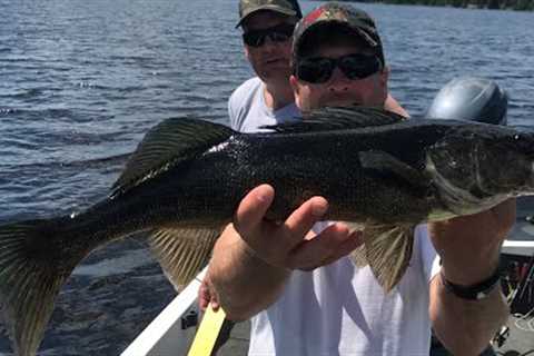 Rainy Lakes Best Walleye Fishing