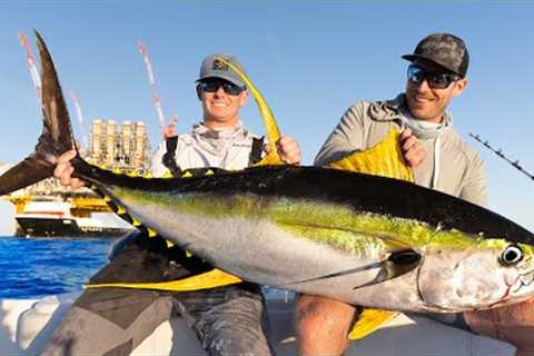 GIANT Tuna's Below World’s BIGGEST Oil Rig! Catch Clean Cook