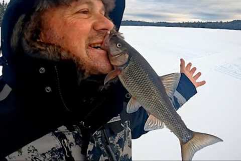 ICE FISHING FAIL :  Day 6