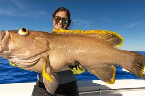 RECORD BREAKING Grouper! Catch, Clean, Cook! Dauphin Island, Alabama