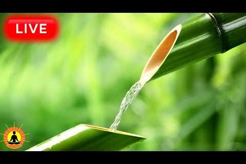 🔴 Relaxing Music 24/7, Zen Music, Stress Relief Music, Spa, Meditation, Yoga, Zen, Sleeping Music