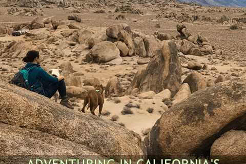 Exploring California’s Alabama Hills With Your Dog