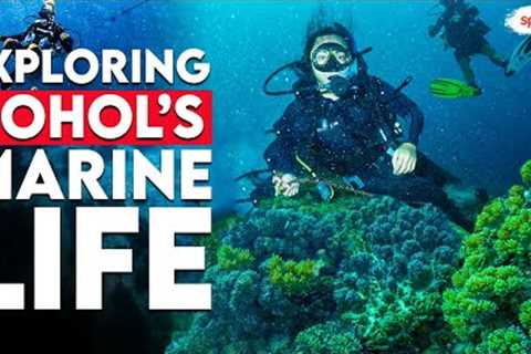 Discover Scuba Diving in Bohol | Bohol Tour | Spotted | Spot.ph