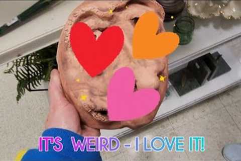 It's Weird - I Love It! - Shop Along With Me - Goodwill Thrift Store
