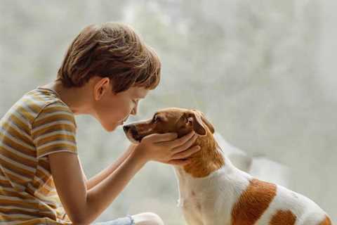 Setting Boundaries and Teaching Your Puppy to Stay Within the Safe Zone