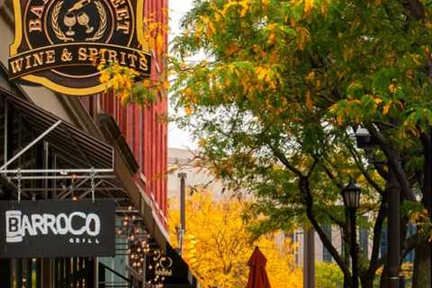 Top 5 Dog Friendly Things To Do In Cleveland