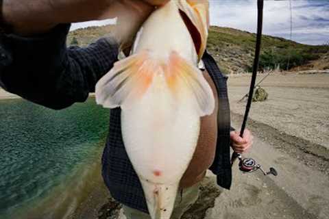 Shore Fishing for Fat Winter Bass at Pyramid Lake