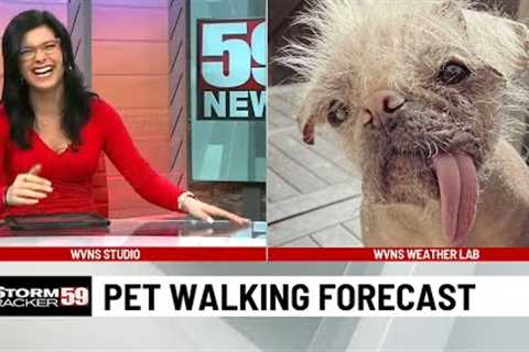 Funniest News Bloopers January 2023