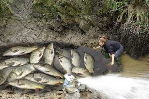 Create bait to lure fish into the lake, Use a pump to drain the water in the lake, Catch a lot fish