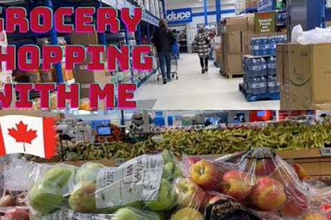 Come Grocery Shopping at 6 Difference Stores in Canada With Me #shoppingday