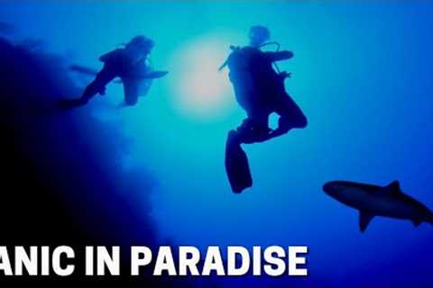 Cruise ship crew members scuba diving with sharks at the Grand Turk Wall