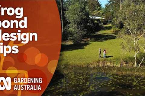 Frog pond design tips with an expert landscape gardener | Garden Design | Gardening Australia